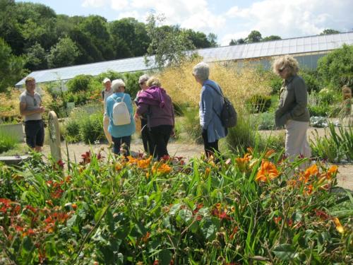 Hot & Dry garden at One Garden by Marilyn H