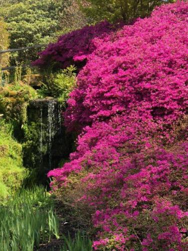 Jacky H's trip to Wakehurst Place
