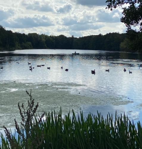 Lullingstone Castle outing