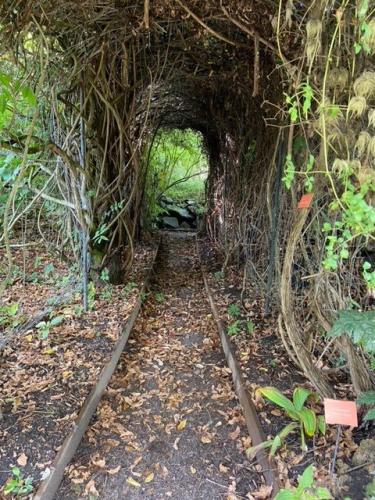 Lullingstone Castle outing