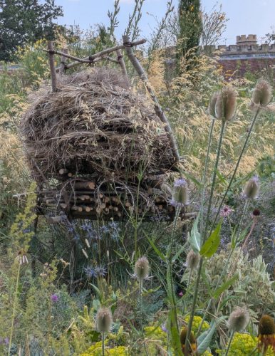 knepp bug hotel 3