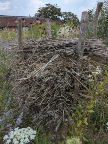 knepp bug hotel 4