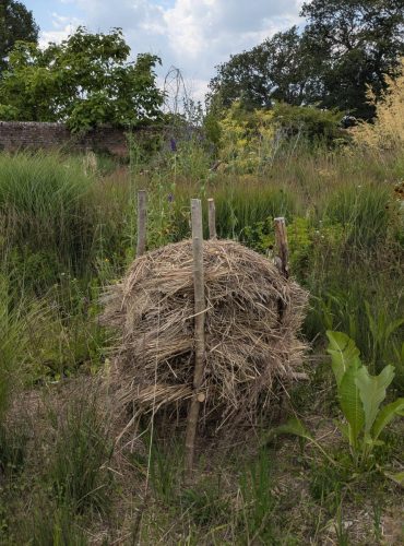 knepp bug hotel 5