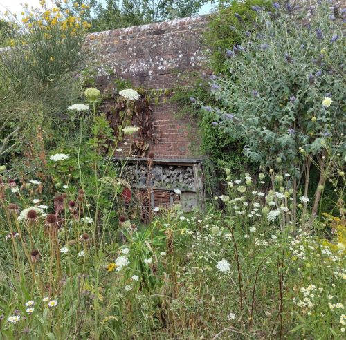 knepp bug hotel and wall 2