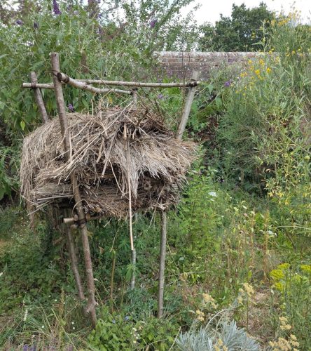 knepp bug hotel and wall