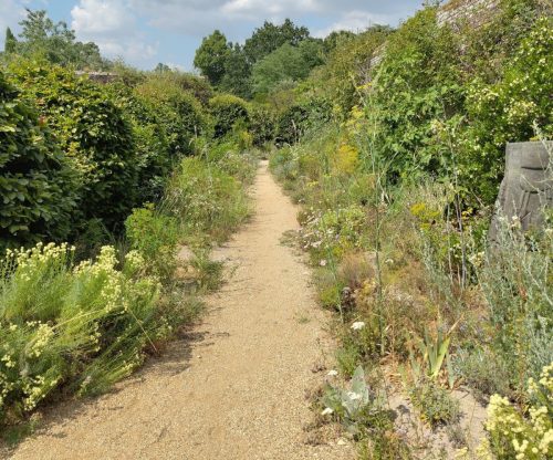 knepp 'dirty' path