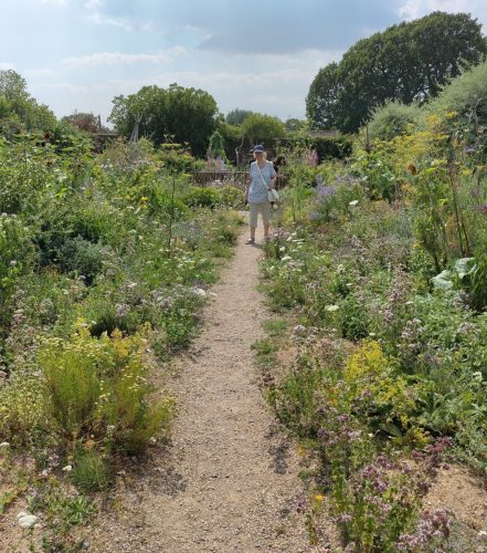 knepp path to rainwater tank with M