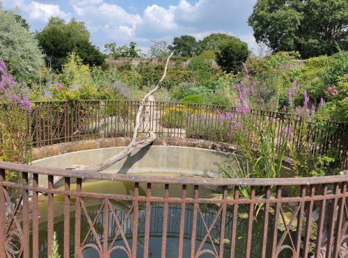 knepp rainwater tank