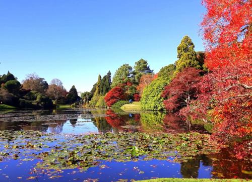 Fabulous Foliage by Lyn B
