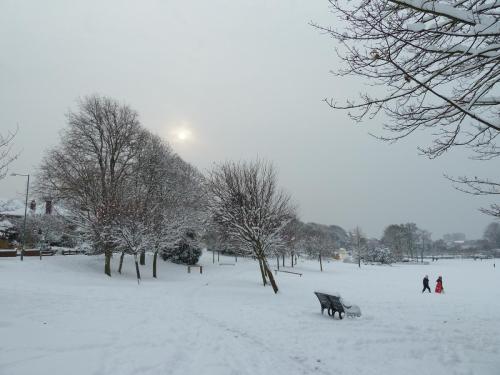 Park Life by Lyn B