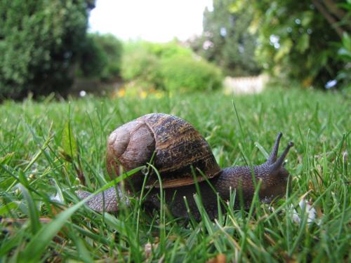 Worm's-eye View by Lyn B