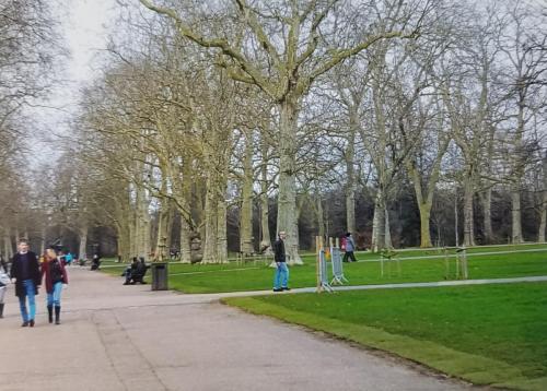Park Life by Leila P