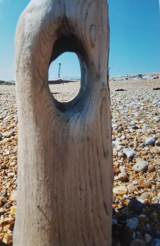 Worm's-eye View by Leila P