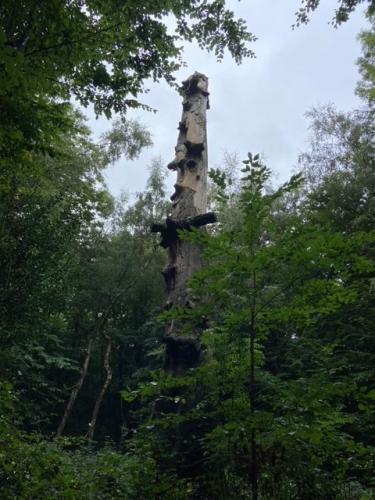 Lullingstone Castle outing
